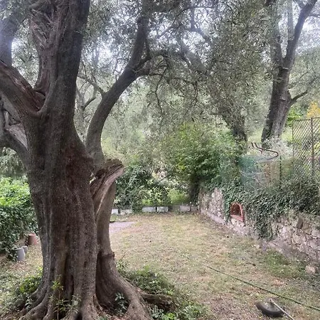 Village Bas De Jardin Vue