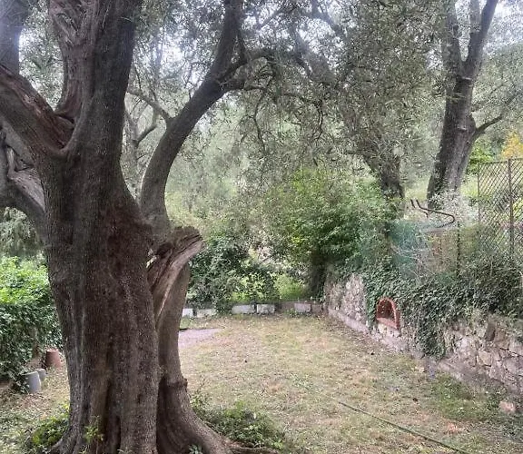 Village Bas De Jardin Vue